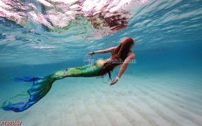 File tranh File in tranh tường 3D FT203567 (ảnh gốc) in trần xuyên sáng