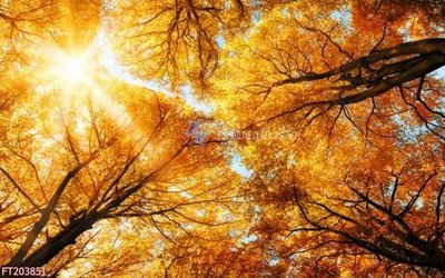 File gốc in ấn File in tranh tường 3D FT203851 chuẩn màu CMYK