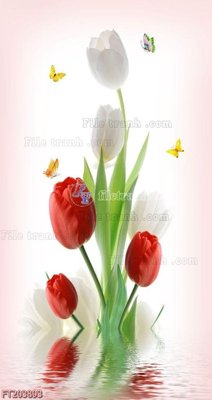 Download file gốc File in tranh tường 3D FT203893 (in mica) trong suốt