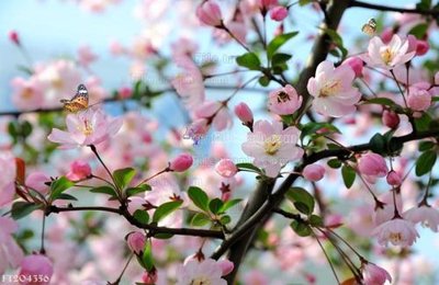 Tải file File in tranh tường 3D FT204356 (PSD) cho in tranh kính