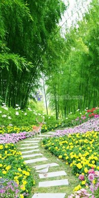 File gốc File in tranh tường 3D FT204404 (PNG) không nền chất lượng