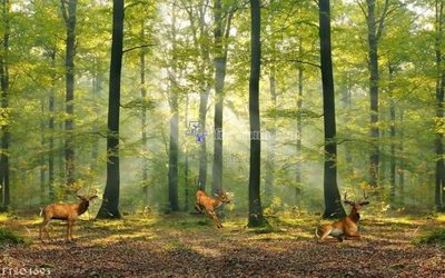 Tải file File in tranh tường 3D FT204693 (gốc) làm file quảng cáo