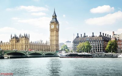 File in trần File in tranh tường 3D FT205473 (bản gốc) hoa văn