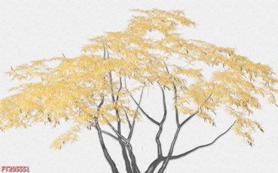 Mua file tranh gốc File in tranh tường 3D FT205551 tại Filetranh.com