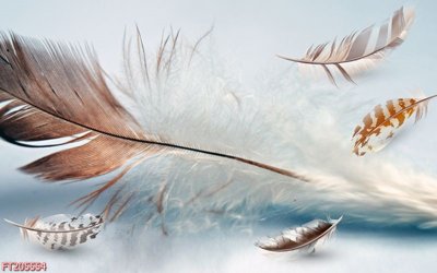 File tranh File in tranh tường 3D FT205554 (ảnh gốc) cho in ấn kỹ thuật số