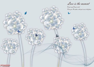 File in trần File in tranh tường 3D FT205587 (bản gốc) trời sao