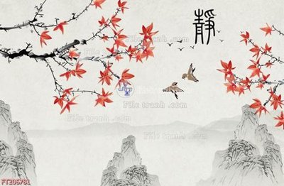 File tranh File in tranh tường 3D FT206781 (ảnh gốc) in trần 3D