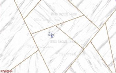 File tranh File in tranh tường 3D FT206944 (bản gốc) in lụa dán tường