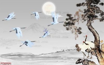 File tranh File in tranh tường 3D FT207074 (ảnh gốc) in trần nhà