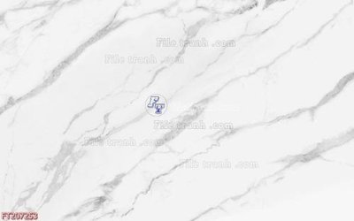 Tải file gốc File in tranh tường 3D FT207253 (in tráng gương) 5DFile gốc File in tranh tường 3D FT207253 (in ấn) phiên bản premium