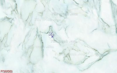 File tranh File in tranh tường 3D FT207362 (ảnh gốc) in trần 3D