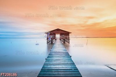 Tải file File in tranh tường 3D FT208186 (gốc) để in ấn ngay