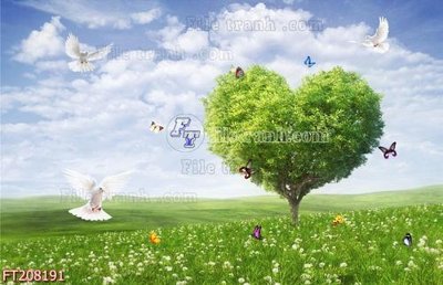 File tranh gốc File in tranh tường 3D FT208191 (bản quyền) độc đáo