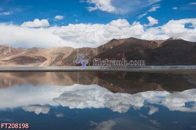 File tranh File in tranh tường 3D FT208198 (ảnh gốc) in trần nhà