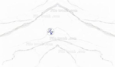 File gốc File in tranh tường 3D FT208355 (in lụa) trang trí tường