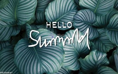 File gốc File in tranh tường 3D FT208447 (in ấn) màu sắc trung thực