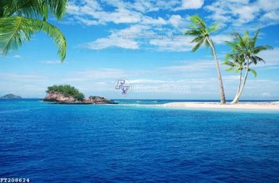 File tranh gốc File in tranh tường 3D FT208624 (sắc nét từng chi tiết)