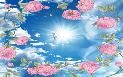 File tranh File in tranh tường 3D FT208681 (ảnh gốc) in trần xuyên sáng