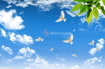 Download file gốc File in tranh tường 3D FT208693 (dùng cho in ấn)