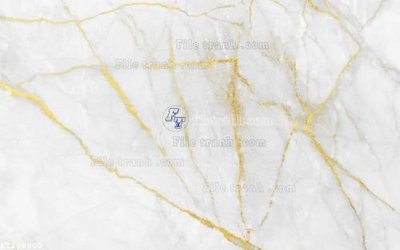 File tranh File in tranh tường 3D FT208800 (ảnh gốc) chi tiết rõ ràng