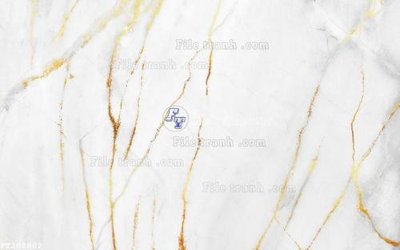 Tải về file tranh gốc File in tranh tường 3D FT208802 (để in quảng cáo)