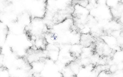 Tải file File in tranh tường 3D FT208804 (gốc) in ấn chất lượng