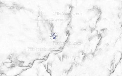 File in lụa File in tranh tường 3D FT208805 (tân cổ điển) File in tranh tường 3D FT208805