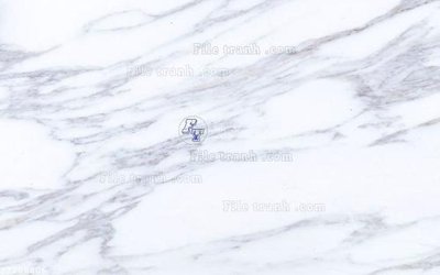 File gốc File in tranh tường 3D FT208806 (phiên bản chuẩn) để in ấn