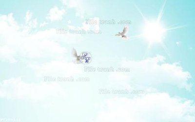 Chi tiết file gốc File in tranh tường 3D FT209131 (cho in tráng gương)