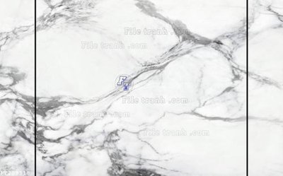 File gốc File in tranh tường 3D FT209318 (cho in UV) siêu nét