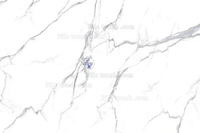 Tải file File in tranh tường 3D FT209735 (gốc) chủ đề hoa sen