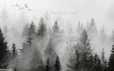 File tranh File in tranh tường 3D FT209859 (gốc) in vải canvas