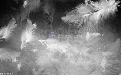 Tải file File in tranh tường 3D FT209883 (gốc) để in ấn ngay