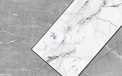 File in lụa File in tranh tường 3D FT210267 (chất lượng cao) File in tranh tường 3D FT210267