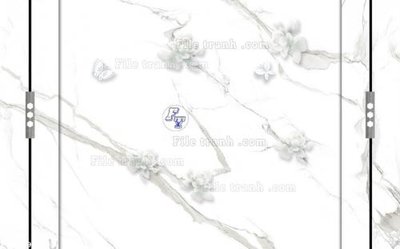 File in mica File in tranh tường 3D FT210930 (bản gốc) làm vách ngăn