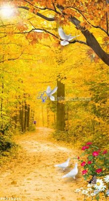 File tranh File in tranh tường 3D FT211236 (ảnh gốc) in trần xuyên sáng