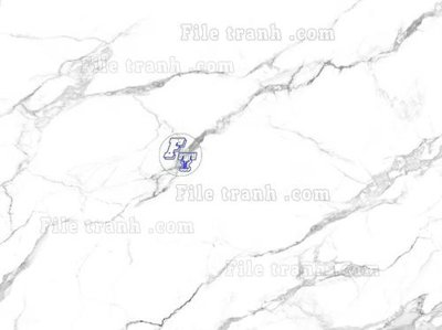 File gốc File in tranh tường 3D FT211393 (in tráng gương) sang trọng