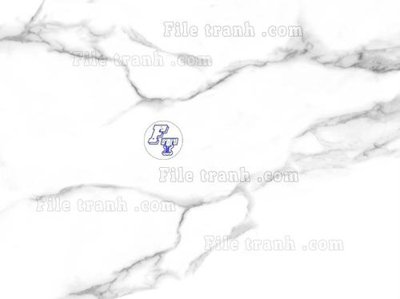 File gốc File in tranh tường 3D FT211396 (in lụa) hoa văn cổ điển