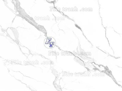 File tranh File in tranh tường 3D FT211397 (ảnh gốc) in trần 3D