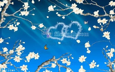 File tranh File in tranh tường 3D FT211639 (ảnh gốc) sắc nét hoàn hảo