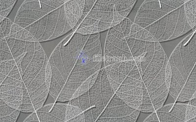 File in trần File in tranh tường hiện đại FT22579 (bản gốc) mây trời