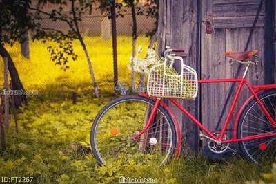 File gốc File psd tường quán cà phê FT2267 (dành cho quảng cáo)