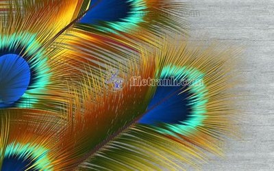 File in trần File in tranh tường hiện đại FT22693 (file gốc) xuyên sáng