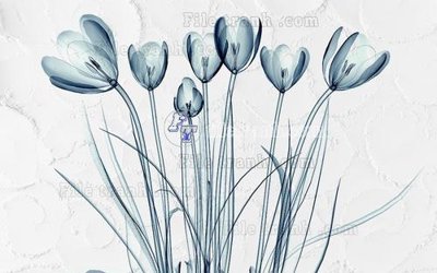 File gốc File in tranh tường hiện đại FT22936 (in mica) cắt laser