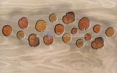 File ảnh gốc File in tranh tường hiện đại FT22958 không vỡ nét