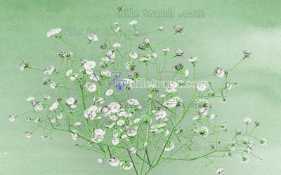 File gốc File in tranh tường hiện đại FT23251 (chuẩn màu) cho in offset