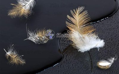 Tải file gốc File in tranh tường hiện đại FT23360 (bản PSD) còn layer