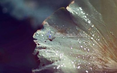 File gốc File in tranh tường hiện đại FT23416 (trang trí) phòng ngủ