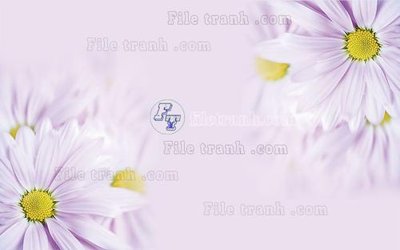 File tranh File in tranh tường hiện đại FT23423 (gốc) in backlit film