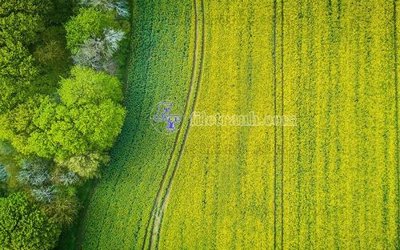 File in trần File in tranh tường hiện đại FT23495 (file gốc) chủ đề vũ trụ